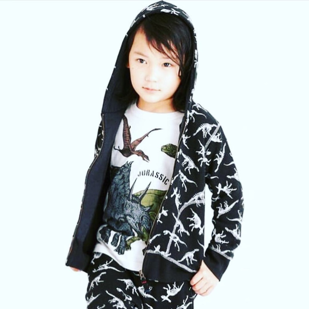 Dino Hoodie jacket